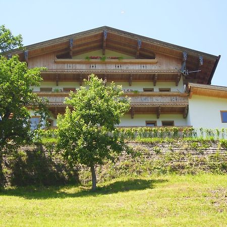 Apartment Kreidl Hippach Pokój zdjęcie