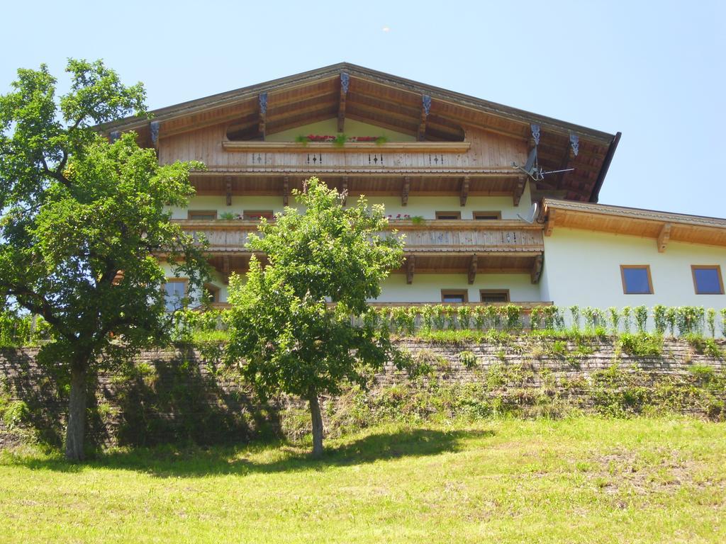 Apartment Kreidl Hippach Pokój zdjęcie
